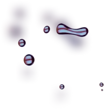 TerraGas - Experience Maximum Profit with Gas Potential Seize Control of Your Trades Now